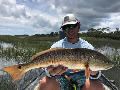 High Tailin