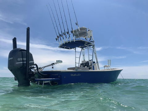 Tampa Inshore Fishing