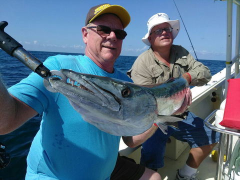 Barracudaville Charters