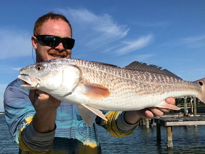 Inshore fishing trip with Capt. Nathan Cain
