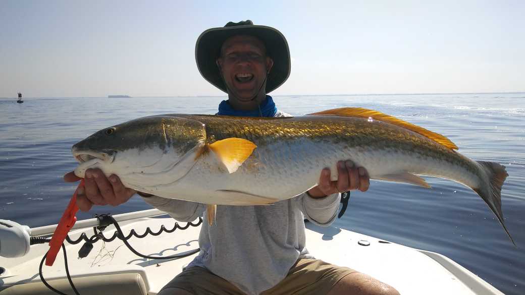 A Deep Dive into Apollo Beach Fishing Charters: Your Ultimate Guide