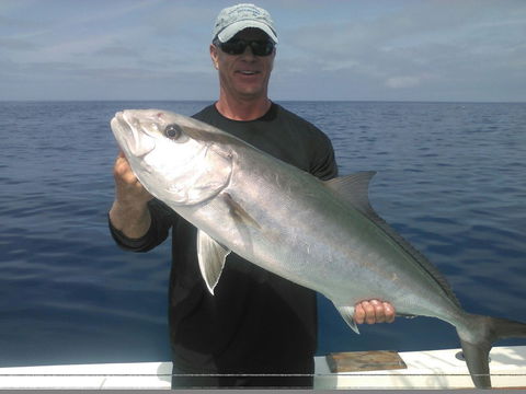 Barracudaville Charters