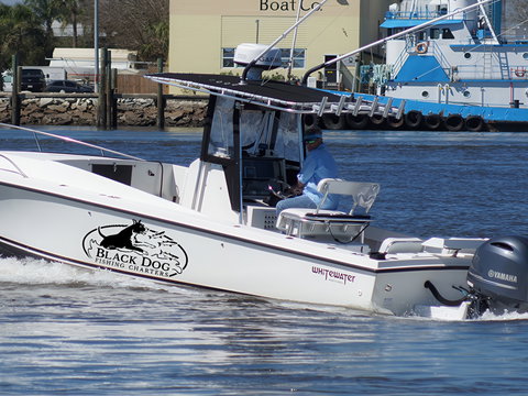 Black Dog Fishing Charters
