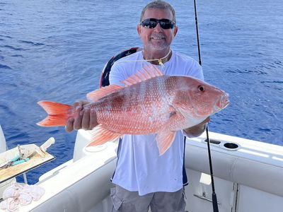 Offshore fishing trip with Capt. Carlos Bastos