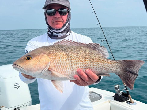 Bottom Line Sportfishing