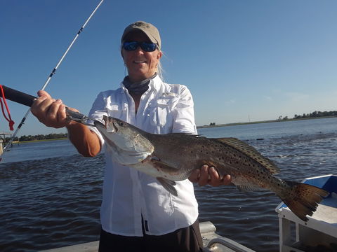 Capt. Dave's Sport Fishing