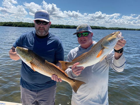 Tampa Inshore Fishing
