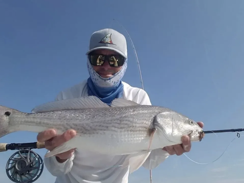 Marsh Dweller Fishing