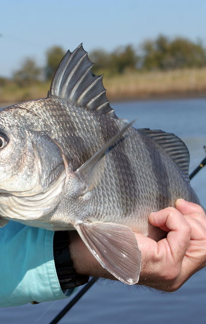 Southern Run Fishing Charters