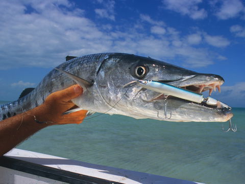 Falling Tide Fishing Adventures